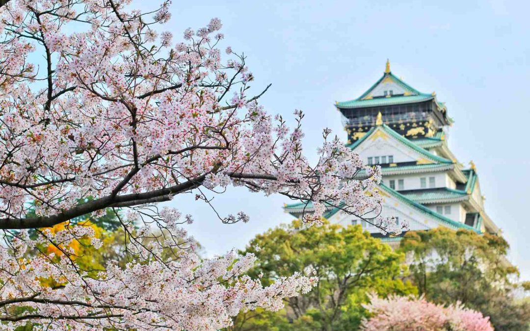 Cherry Blossom Japan (09 Nights / 10 Days)